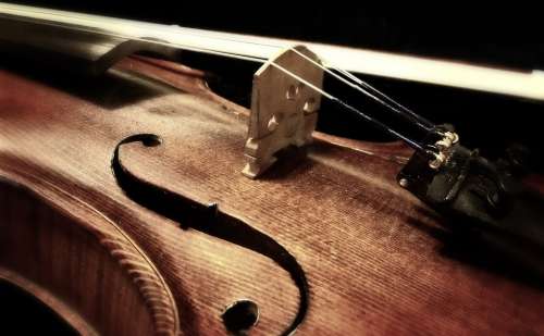 Music Violin Musical Instrument String Instrument