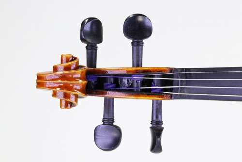 Music Violin Instrument Musician