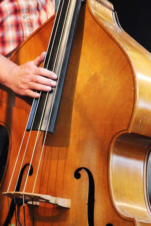 Musician Instrument Double Bass Band Country Music