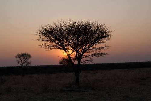 Namibia Sunset Africa Safari