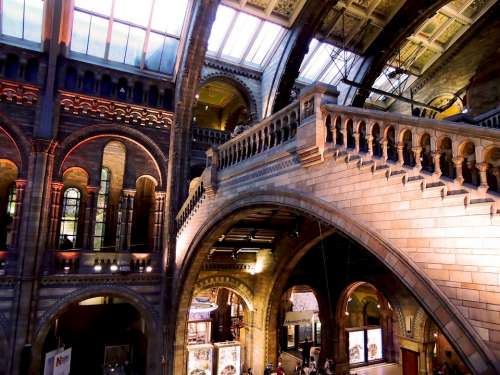 Natural History Museum London Architecture Museum