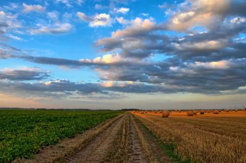 Nature Landscape Field Agriculture Cereals Straw