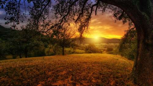 Nature Tree Dawn Landscape Panorama Sun Aesthetic