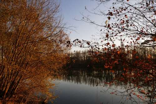 Nature Country Autumn Lake Trees