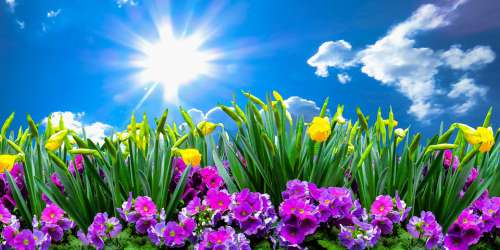 Nature Landscape Spring Flowers Sky Clouds Sun