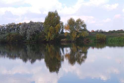 Nature Pond Lake Reflection Trees Pokoj Day