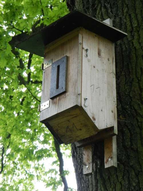 Nesting Box Aviary Bird Feeder Tree Nesting Place
