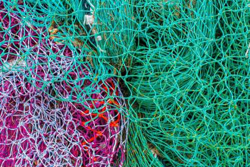 Net Fishing Color Hook Nature