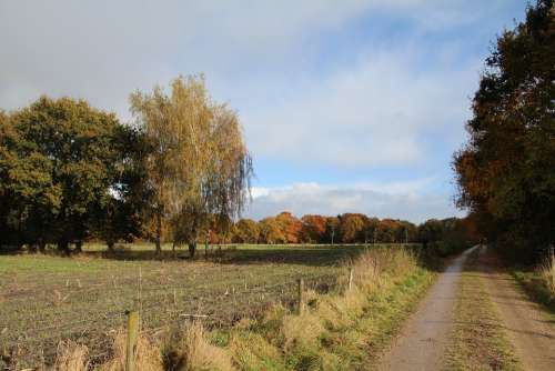 Netherlands Landscape Veluwe Nature Fall Colors