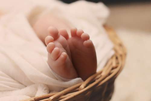 Newborn Baby Feet Basket Young Delicate Toes