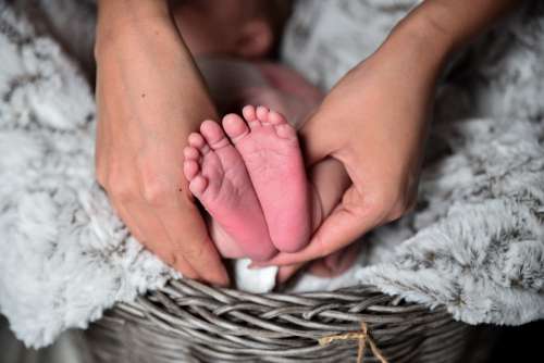 Newborn Baby Feet Toes Baby Hands Holding Newborn