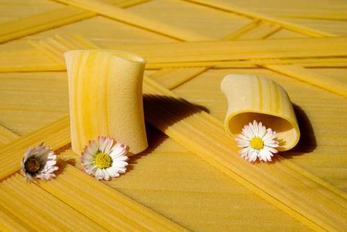 Noodles Pasta Raw Paccheri Giganti Yellow Food
