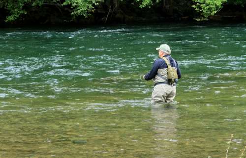 North Umpqua River Fly Fishing Oregon Summer Stream