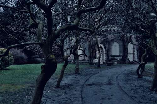 Nostell Priory Old House Eerie Weird Trees Twilight
