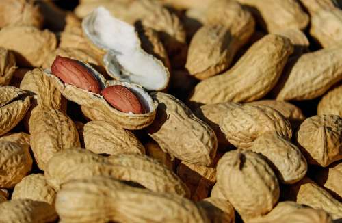Nuts Peanut Roasted Cores Snack Healthy Delicious