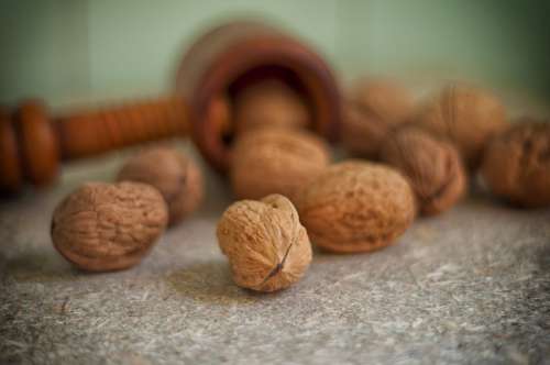 Nuts Brown Nut Natural Diet Vegetarians Organic