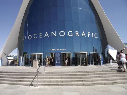 Oceanografic Valencia Museum Fish Sea