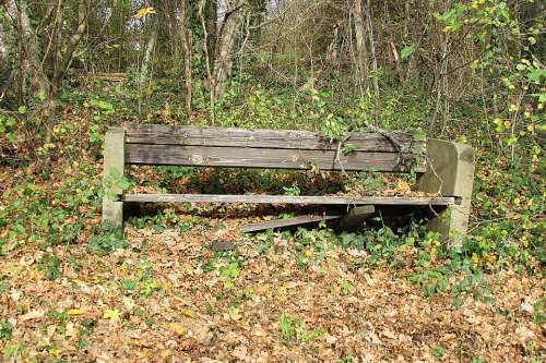 Old Bench Lapsed Park Bench Seat Bench Forest