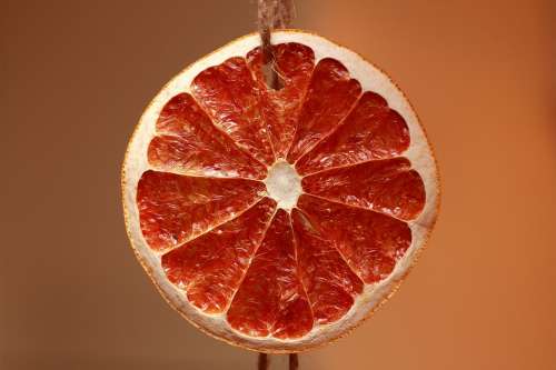 Orange Slice Dried Fruits Oranges Decoration