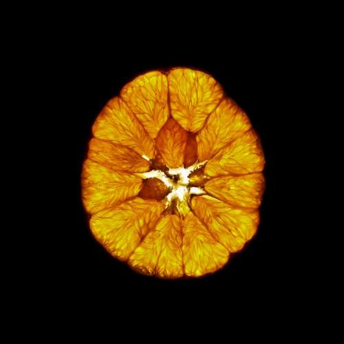 Orange Cross Section Fruit Vitamins Oranges Macro
