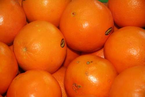 Orange Fruit Citric Food Healthy