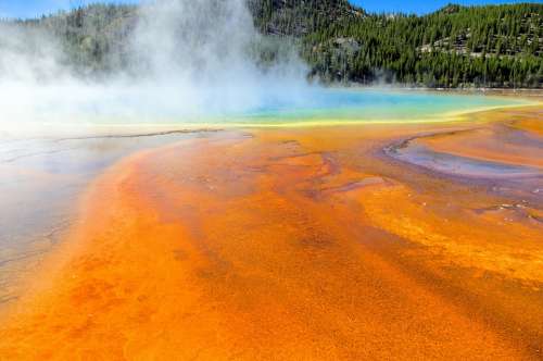 Orange Bacterial Mats Hot Spring Pool Yellowstone