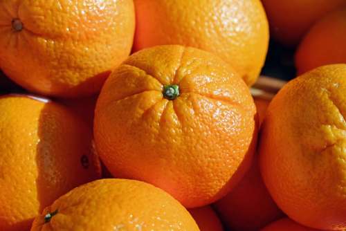 Oranges Citrus Fruits Fruit Fruits Vitaminhaltig