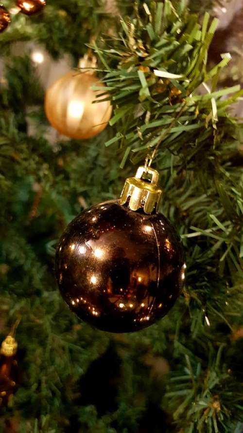 Ornament Christmas Holiday