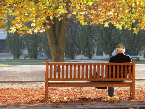 Ostfildern Autumn Lonely Man Tree Bank