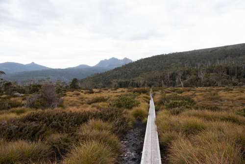 Overland Track Tasmania Hike Landscape Nature