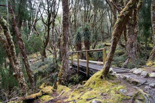 Overland Track Tasmania Nature Wilderness Outdoors