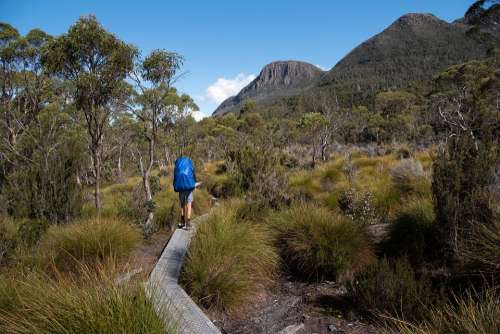 Overland Track Tasmania Nature Wilderness Landscape