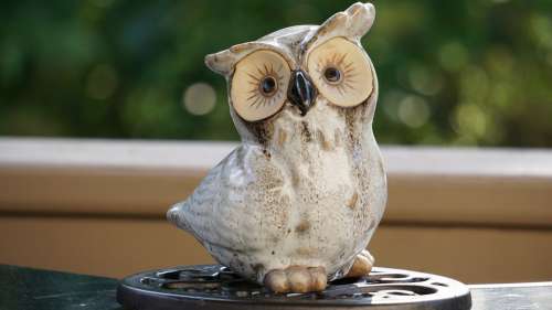 Owl Statue Sculpture Bird Ornament Figurine