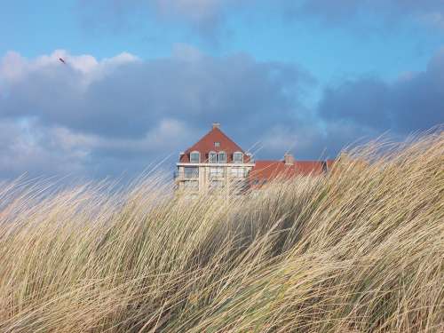 Oyats Roof Kite Beach Wind Bray-Dunes Dunes