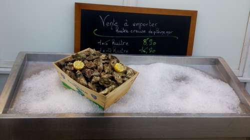 Oysters Etretat France Normandy Food Local