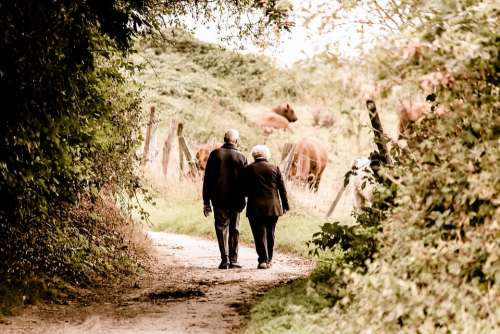 Pair Seniors Pensioners Age Silhouette Old Love