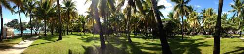 Palm Beach Tropical