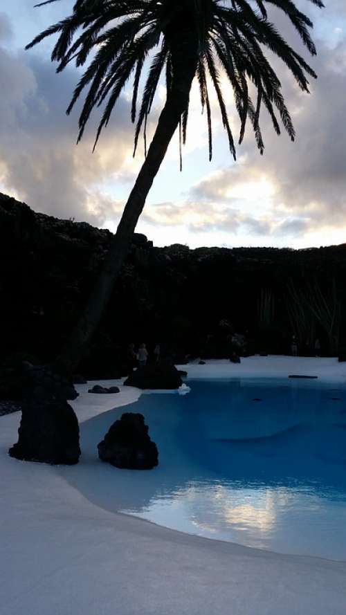 Palm Exotic Pool
