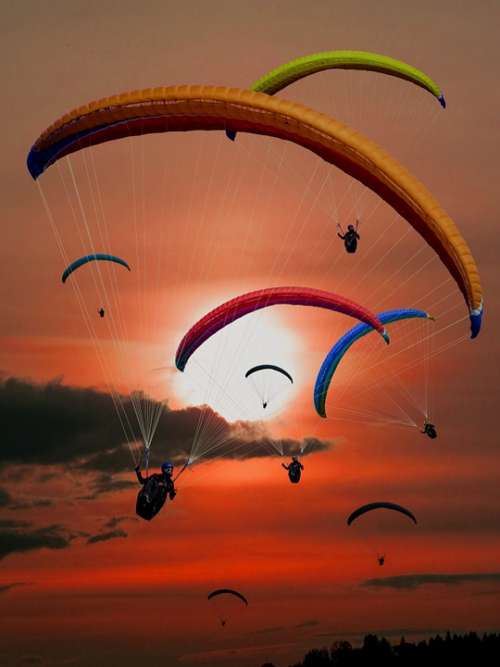 Paraglider Paragliding Flying Sun Sunset