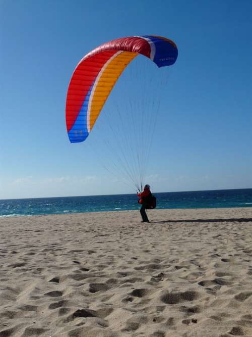 Paragliding Beach Sea Paraglider