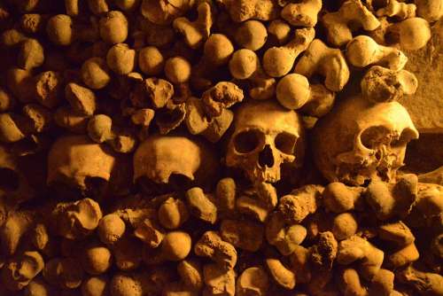 Paris Catacombs Skulls History Tourist Destination