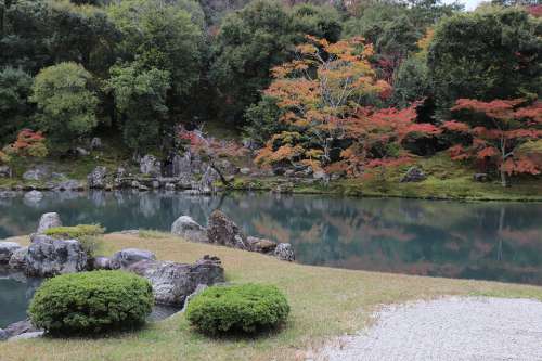 Park Tree Plant Temple Forest