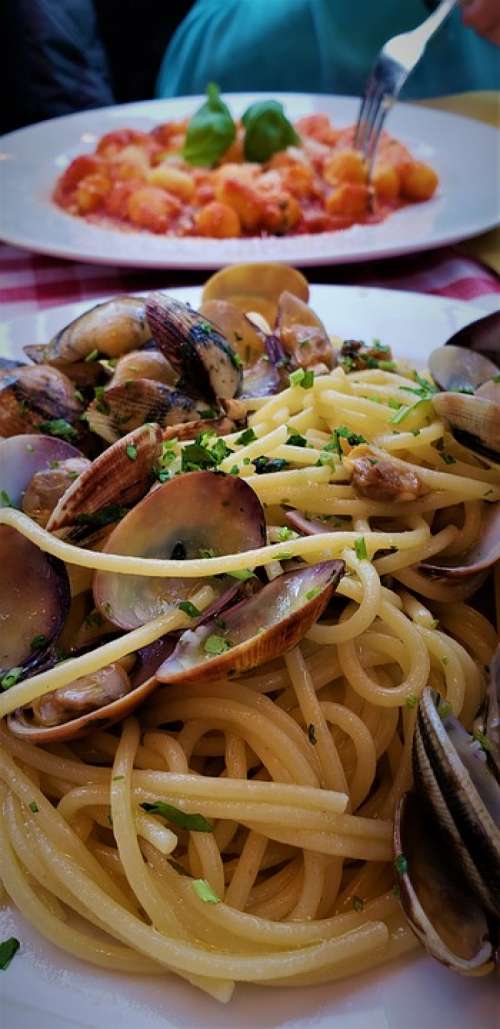 Pasta Seafood Clams Italian Italy Rome Roma