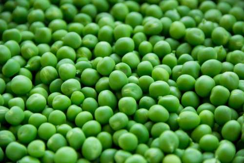 Pea Peas Vegetables Green Food Healthy Vegetarian