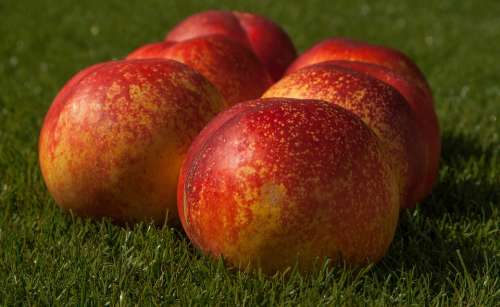Peach Fruit Fresh Ripe Vitamins
