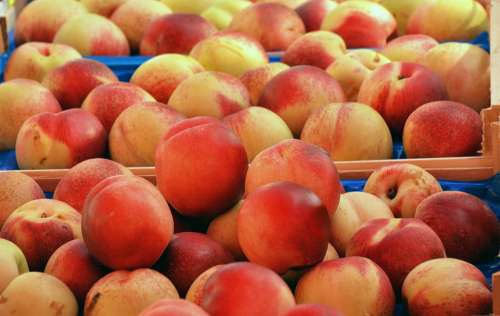 Peaches Fruit Food Juicy Healthy Market Vitamins