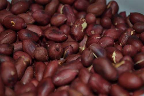 Peanuts Walnut Nuts Nutrition Appetizer Healthy