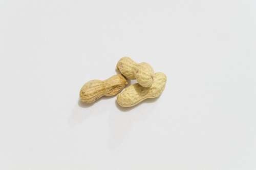 Peanuts Aperitif Nuts