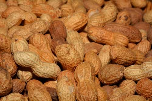 Peanuts Nuts Background Healthy Shell Delicious