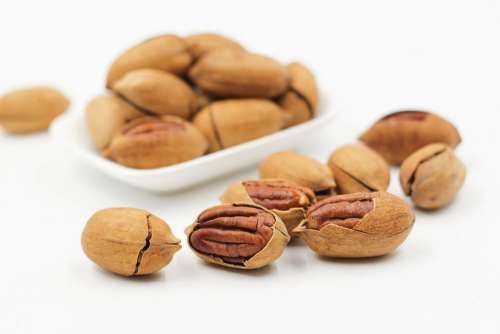 Pecans Nuts Cracked Open Protein Food Snack